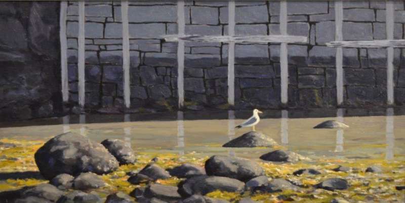 Lone Gull